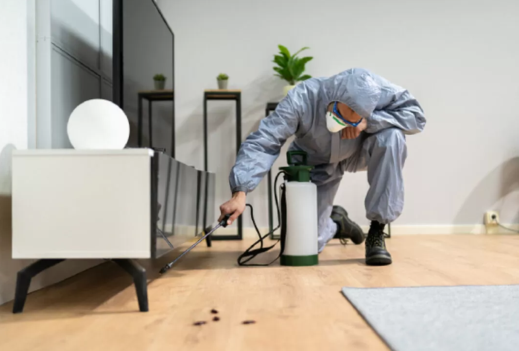 Altındağ Ev İlaçlama