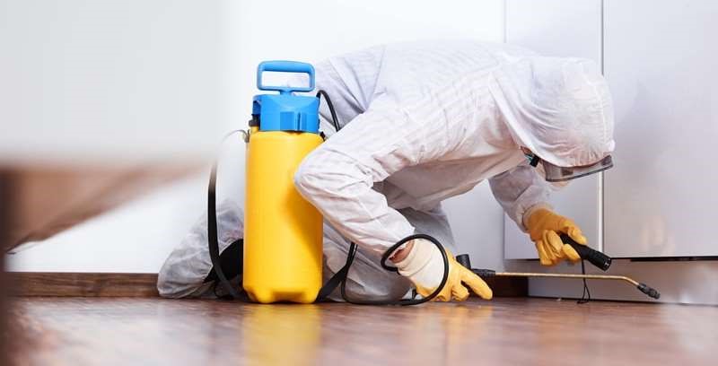 Akyurt Haşerat İlaçlama